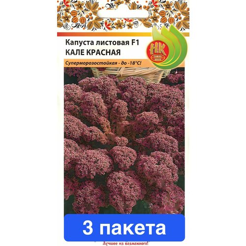 ���� ������ ������ ������� ������ 