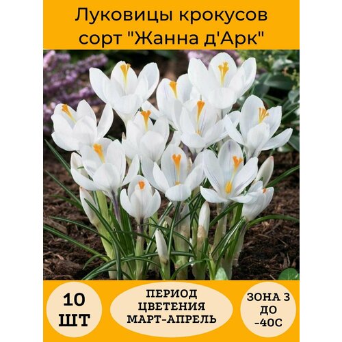 ���� ������ ���� 