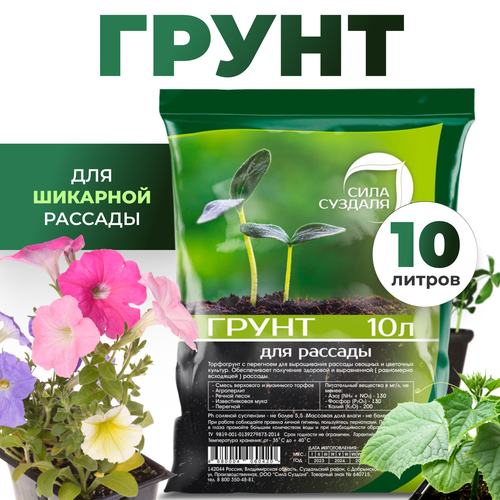 ���� ����� (�����) ��� ������� ������ � ������ ���� �������, 10 � ������ ������