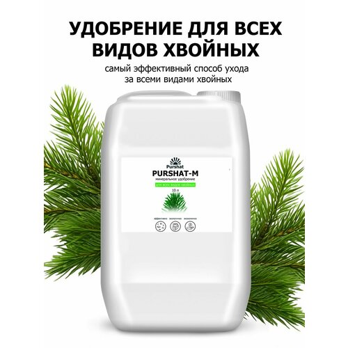 ���� ��������� ��� ������� � ������������ ������-� ���������� 10 � ������ ������