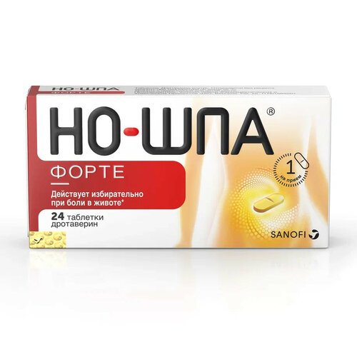 ���� ��-��� ����� ���., 80 ��, 24 ��. ������ ������