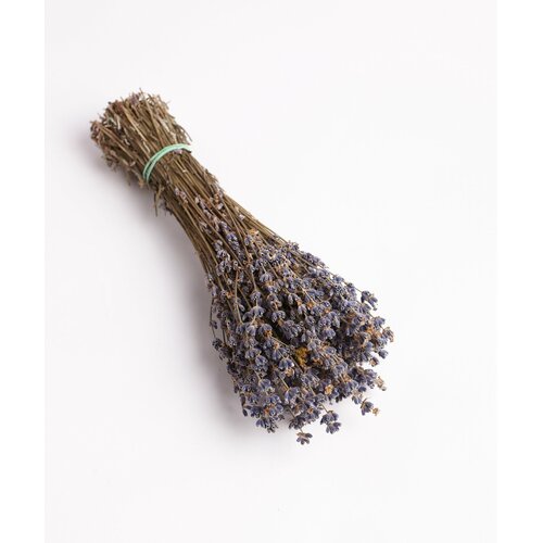 ���� ������� ������� � ������ 