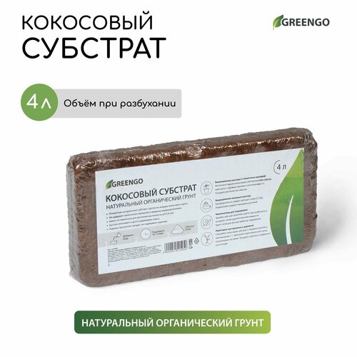   Greengo , ,      ,  , 4     