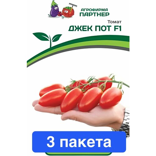 ���� ������ ������ ��������� ������� 