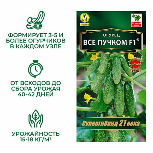 ���� ������ ������ 