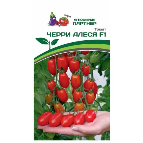 ���� ������ ������ ���������������� ������������ ����������������� 