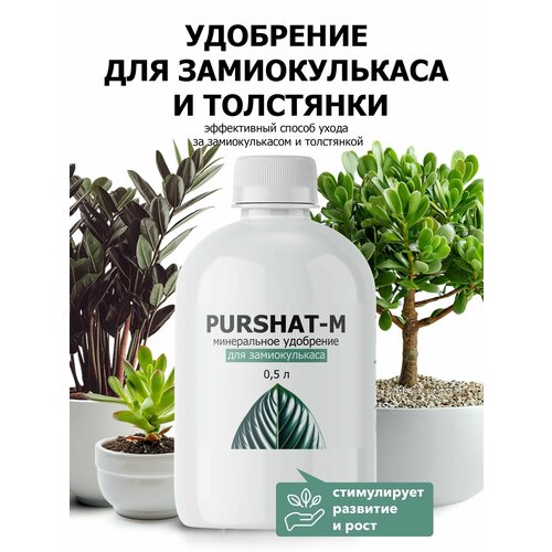 ���� ��������� ��� ������������� � ��������� ���������� ������-� 0,5 � ������ ������