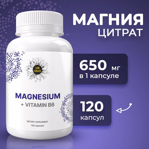 ���� ������ ������ � ������� �6 ��� ������� �������, 120 ������ ������ ������