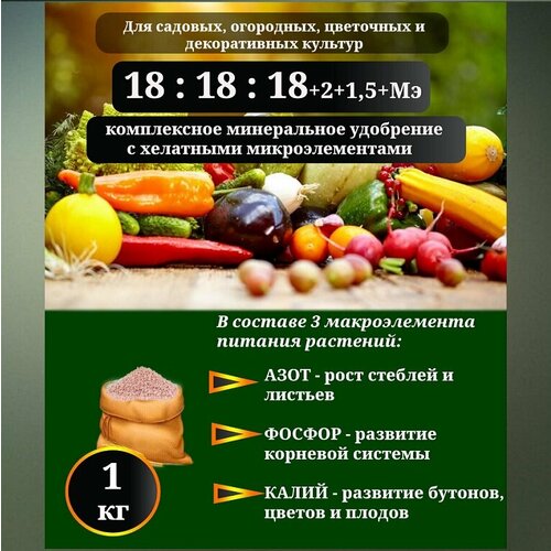 ���� ��������� ��������������� (18-18-18+2+1,5+��) � ��������� ���������������, 1��. ������ ������