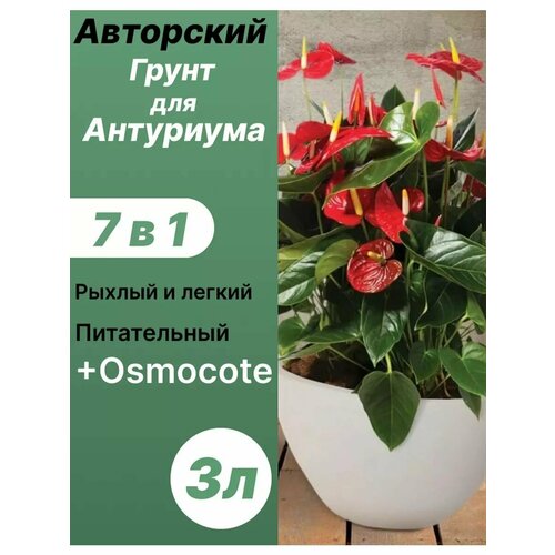 ���� ����� ��� ��������� 3� / ������� ������ ������