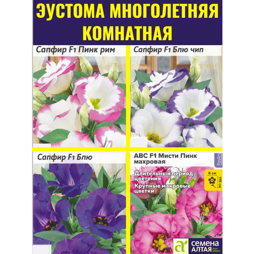 ���� ����� ����� ������� �����������, ���������. 4 ����� �������� PanAmerican � ������������� �������� ������ ������