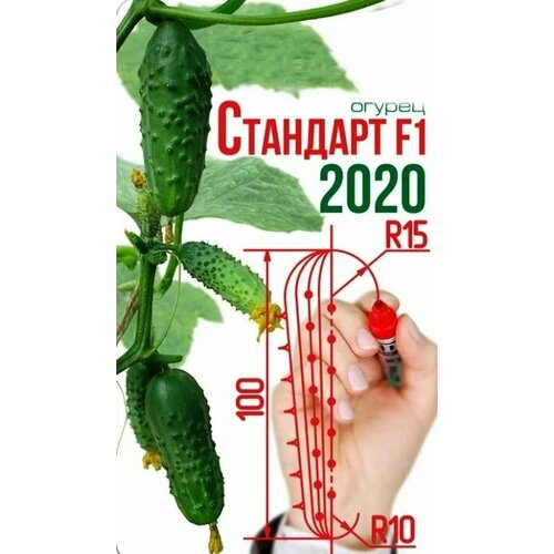 ���� ������������� ������ ������ �������� F1 ������ ������