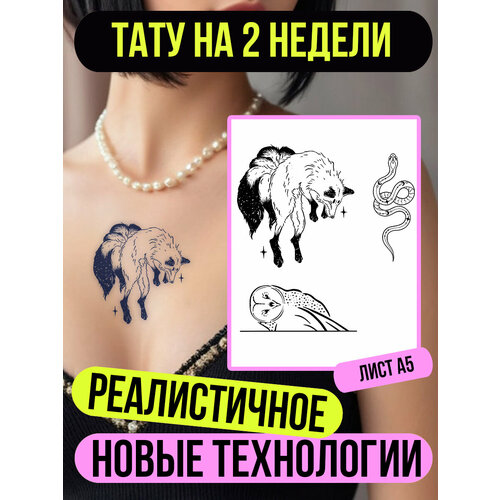 ���� ���� ���������� �������������� �������� ������ ������