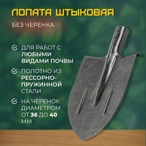 ���� ������ �������� ��� ������� ������ ������