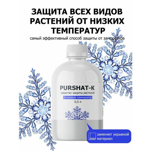 ���� �������� ������ �������� ������-� ������������� ��� ������ �������� � ������������ �� ������ ���������� ������ (Purshat) 500 �� ������ ������