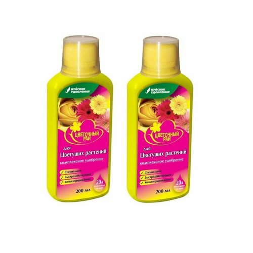 ���� ��������� 