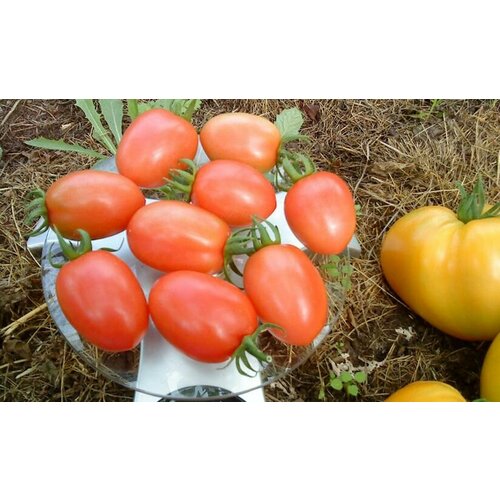 ���� ������������� ������ ������ ������� ���� ������ ������