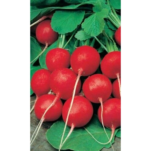 ���� ������������� ������ ������ F1 ������ ������ ������