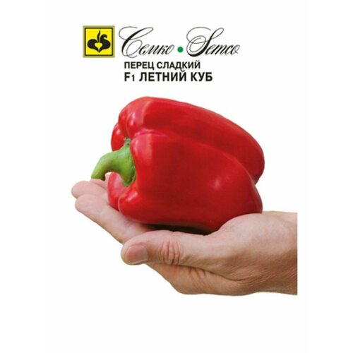 ���� ����� ������ ��� 15�� ����� ������ ������