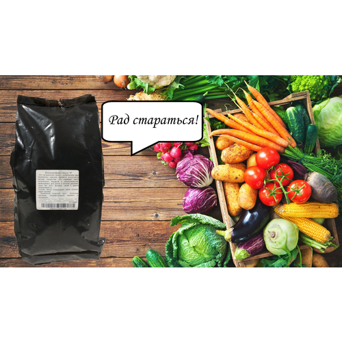 ���� ������� ���������� ����� 