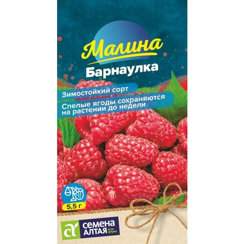 ���� ������ ���������, 1 �����, ������ 0,3 ��, ������ ����� ������ ������