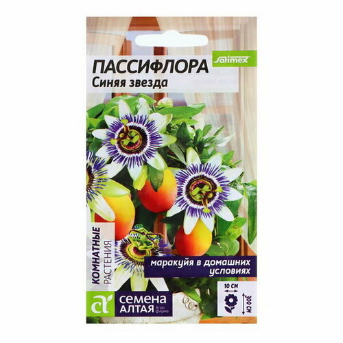 ���� ������ ���������� 