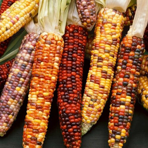 ���� �������� �����, ��������� ���� ������ ����� �����������, � ������������ ������� ��� ����� �������� � ������� � �������� ������ ������� � ��������� �������, 7 ����� ������ ������