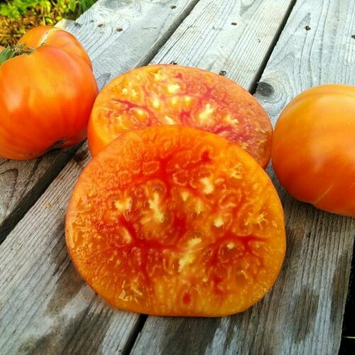 ���� ������������� ������ ������ ��������� ������ ������ ������