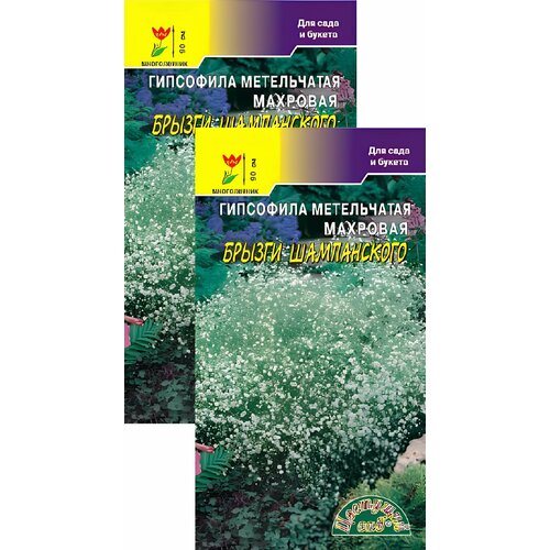 ���� ��������� ������ ����������� (0,1 �), 2 ������ ������ ������