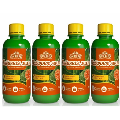 ���� ���������� �������� ���� �� �������� � ���������� 250 ��, 4 �� ������ ������