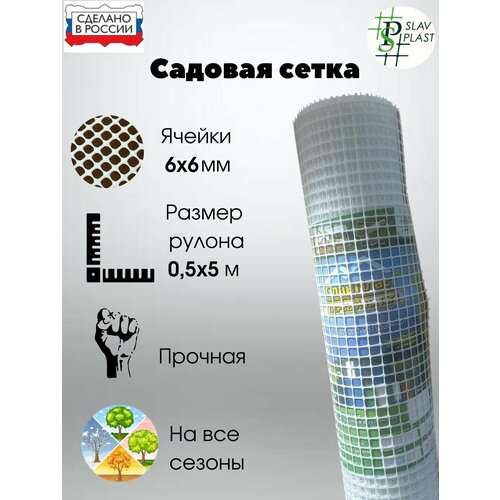 ���� ����� ����������� ������ 6*6 �� ������ ������ 50 �� ����� 5 � ����� ������ ������