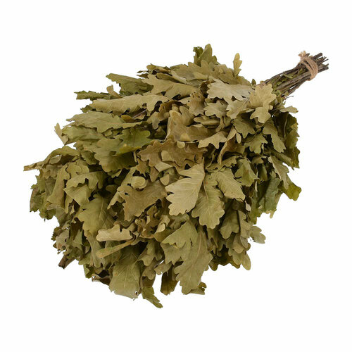 ���� ����� ��� ���� � ����� ������ ������ �������� 32115, ������� ������ ������