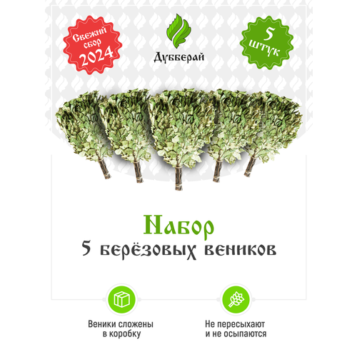 ���� ����� ��� ���� �������� 5 ���� ������ ������