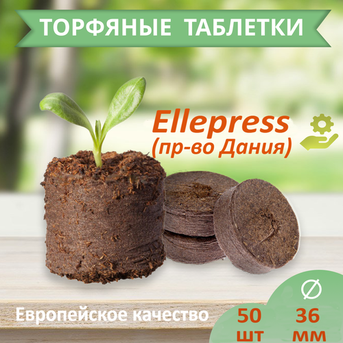      36  50  ELLEPRESS  