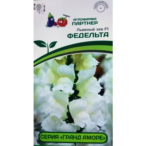 ���� ������ �������� ���� ������������ ���������������� 