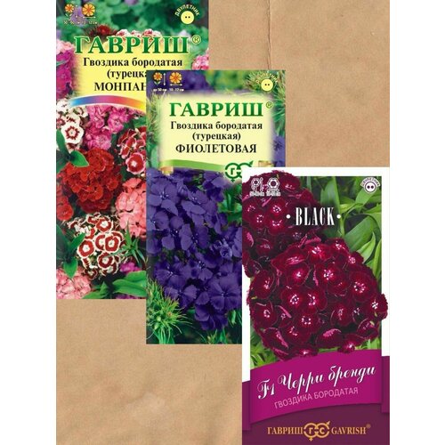 ���� ������ �������� ��������� (��������) ������ 3 ��.+ �������! ������ ������