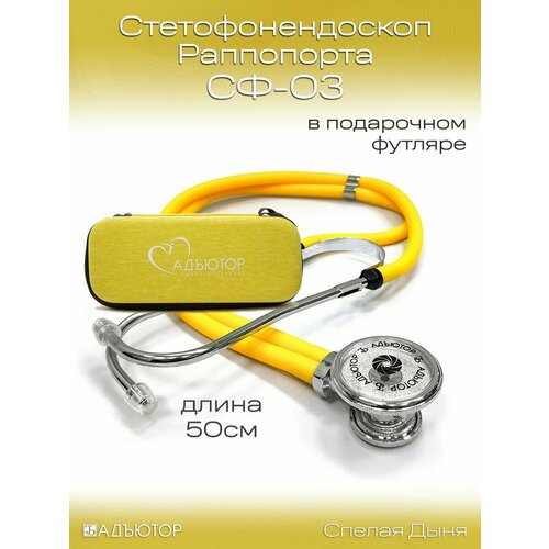 ���� ���������������� ����������� ��-03 � ���������� ������� ������ ������