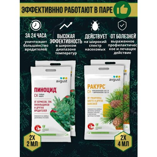 ���� �������� �� �������� � ���������� ������� �������� ������ 4 �� + ������� 2 ��, ����� 4 �� ������ ������