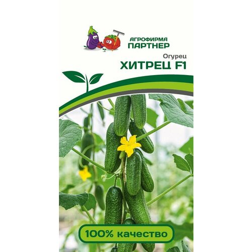 ���� ������ ������ 