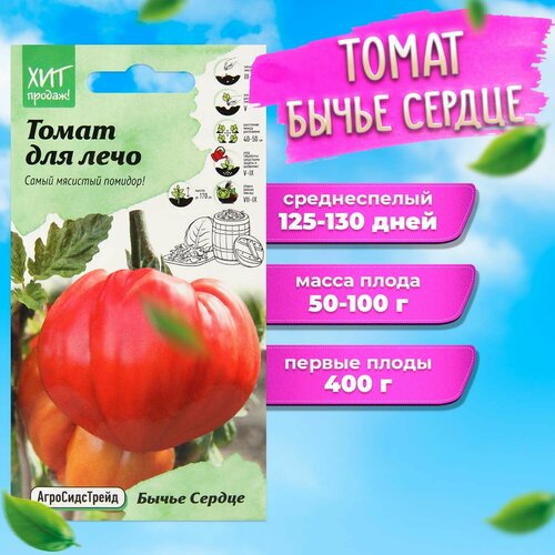 ���� ����� ����� ������ F1 0,3 � ��� ��� ����������� ������ ������ ������