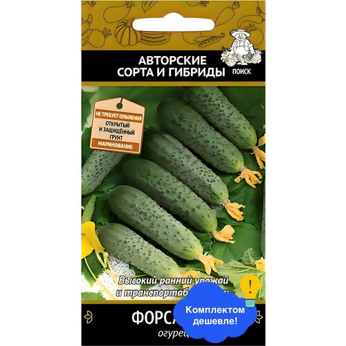 ���� ������ ����� ������ ������ F1 12 ��. ������ ������