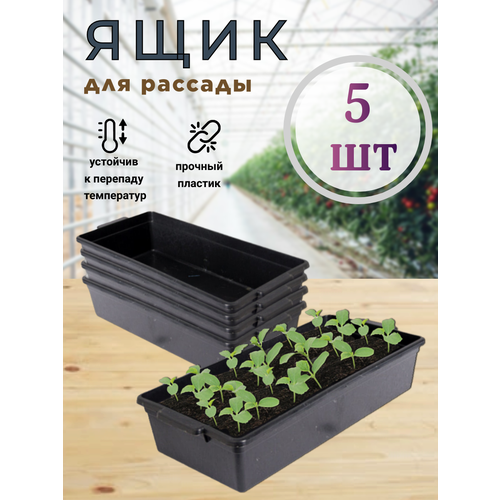 ���� ����� ������ ��� �������, 5 ��, 43*20*10 �� ������ ������