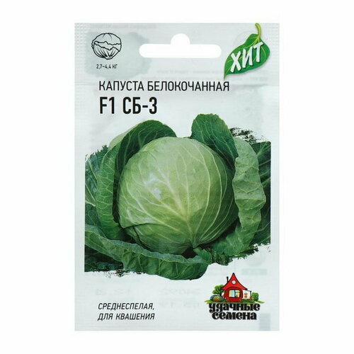 ���� ������ ������� ������������ 