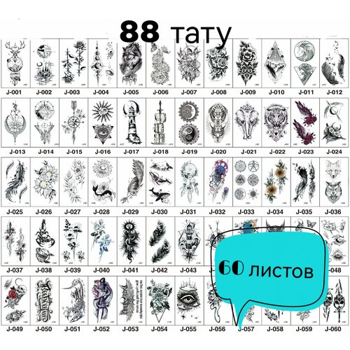 ���� ��������� ���� / ���� ��� ����� � �������� / ���������� ���������� ��������������/ ����������� / ��������� ������� 