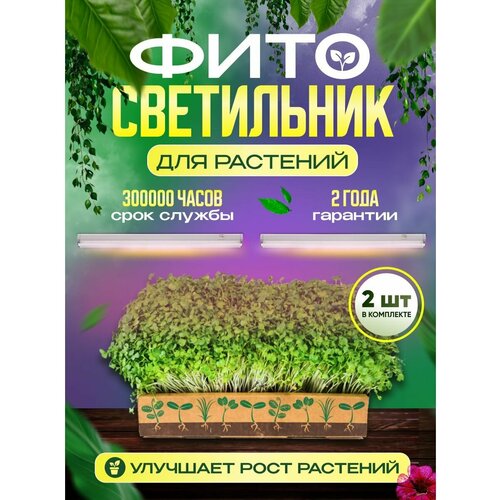 ���� �������������� ��� �������� ������ ������