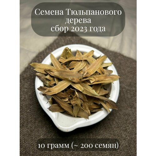 ���� ������ ������������ ������, ��� ������������� ������������, �������, 10 ����� (�������� 200 ��) ������ ������