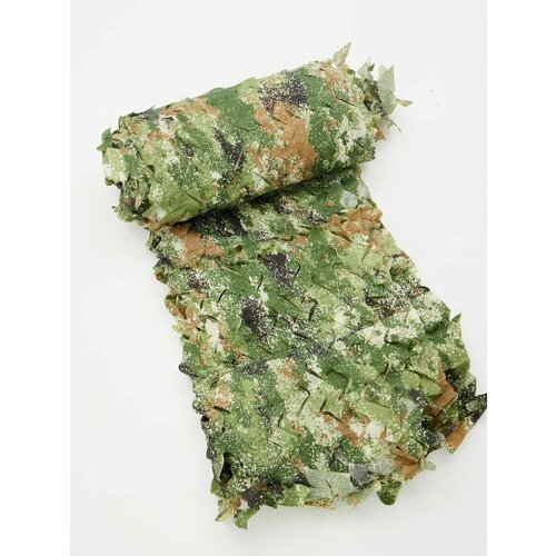 ���� ���� ������������� 3 �� 6 ������ ������