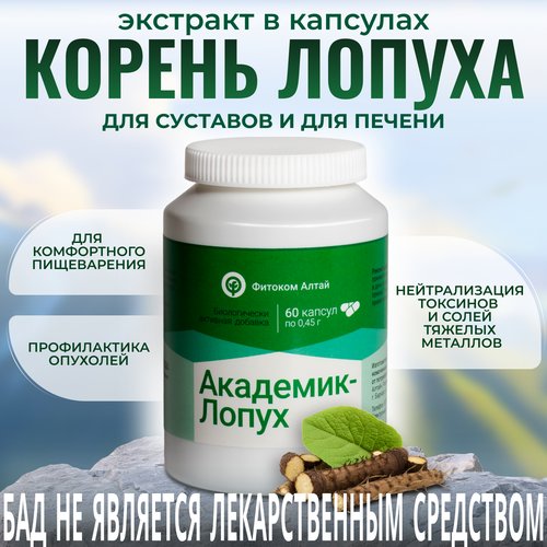 ���� �������� �����, �������� ����� ������ � ��������, ���, 60 ����, ������� ����� ������ ������