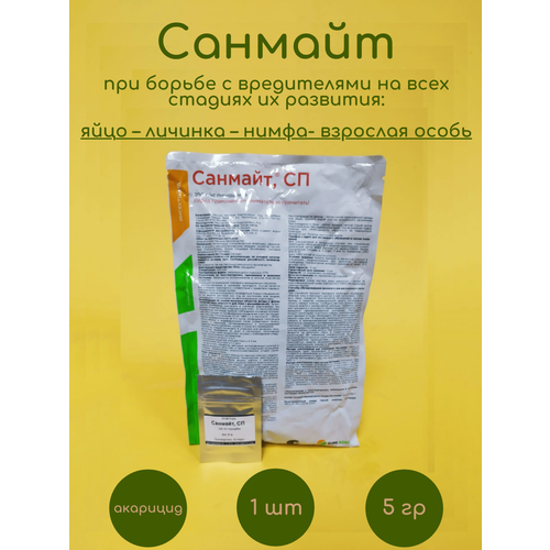 ���� �������� ������� 5 �� ������ ������