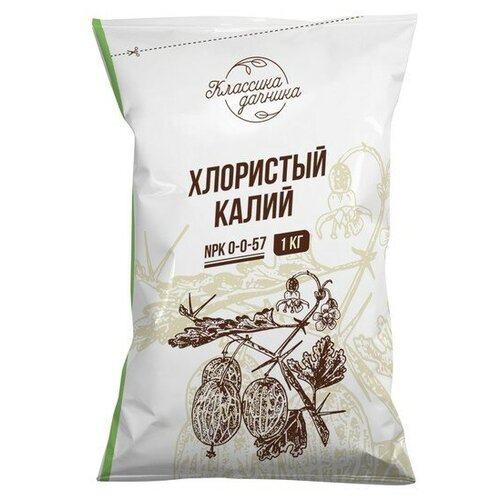 ���� ��������� �������� �������� (��������� �����), 1 �� ������ ������